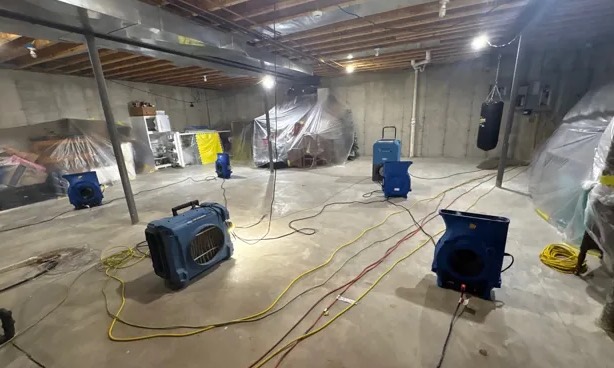 Basement Water Extraction in Lucas, TX
