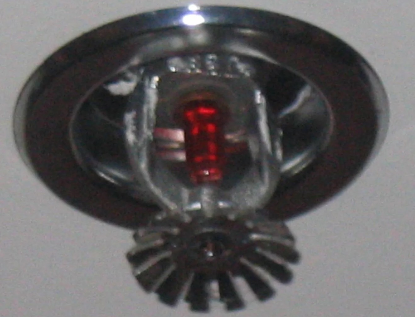 Sprinkler System Water Removal in Lucas, TX