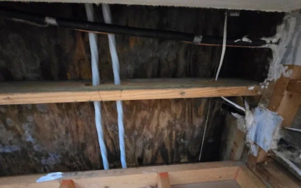 Gutter Overflow Water Removal in Lucas, TX