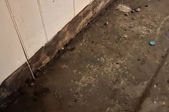 Hoarding Cleanup in Coppell, TX