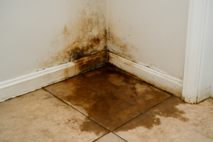 Water Leak Detection